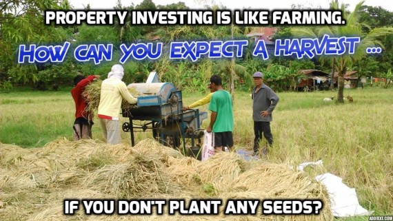 Property investing harvest